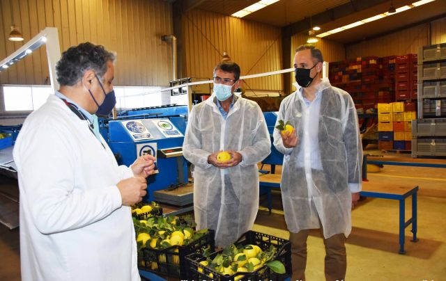 foto de El delegado de Agricultura, Pesca y Ganadería visita la empresa cartameña Cítricos de Málaga S.A.T.
