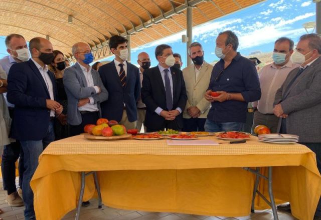 foto de El ministro Luis Planas, visita una explotación de Tomate Huevo de Toro y el Mercado Agroalimentario ‘Sabor a Málaga’