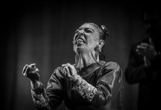 foto de Homenaje de la VII Bienal de Arte Flamenco a La Repompa