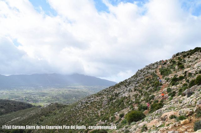 foto de Más de 300 corredores se dieron cita en el I Trail de Cártama Sierra de Los Espartales- Pico del Águila