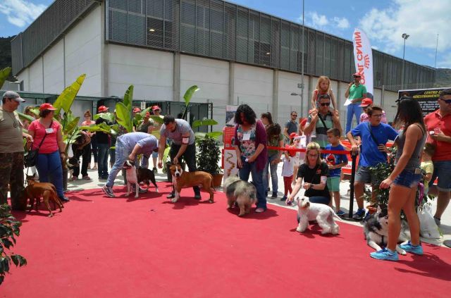 foto de Gran éxito de participación en el I Encuentro Canino de Cártama