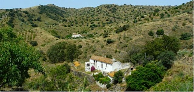 foto de Worten plantará 400 árboles en Cártama y en los montes de Málaga