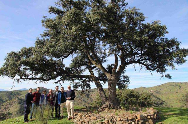 foto de Worten inicia la plantación de 400 árboles en Cártama